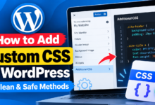 Add Custom CSS in WordPress