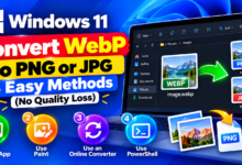 Convert WebP to PNG or JPG