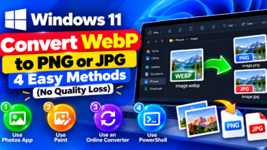 Convert WebP to PNG or JPG