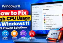 Fix High CPU Usage in Windows 11