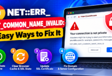 Fixing NET__ERR_CERT_COMMON_NAME_INVALID