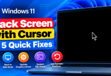 Windows 11 Black Screen Fixes