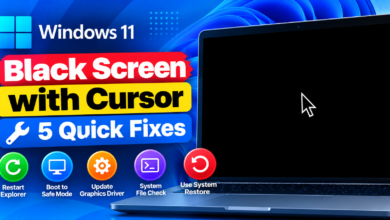 Windows 11 Black Screen Fixes