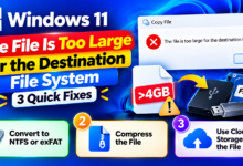 Windows 11 File Size Fixes