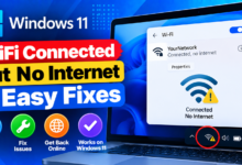 Windows 11 Wi-Fi Connected, No Internet
