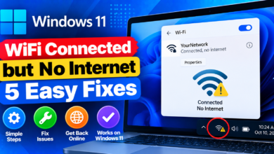 Windows 11 Wi-Fi Connected, No Internet