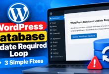 WordPress Database Update Fixes