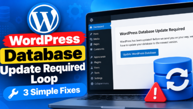 WordPress Database Update Fixes