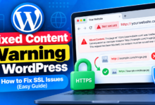 WordPress Mixed Content Warning Guide